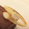 Distrito Lu Moda Europea y Americana Lujo Ligero Chapado en Cobre y Oro Circonita Pulsera de Serpiente Femenina INS Nicho Retro de Gama Alta Pulsera