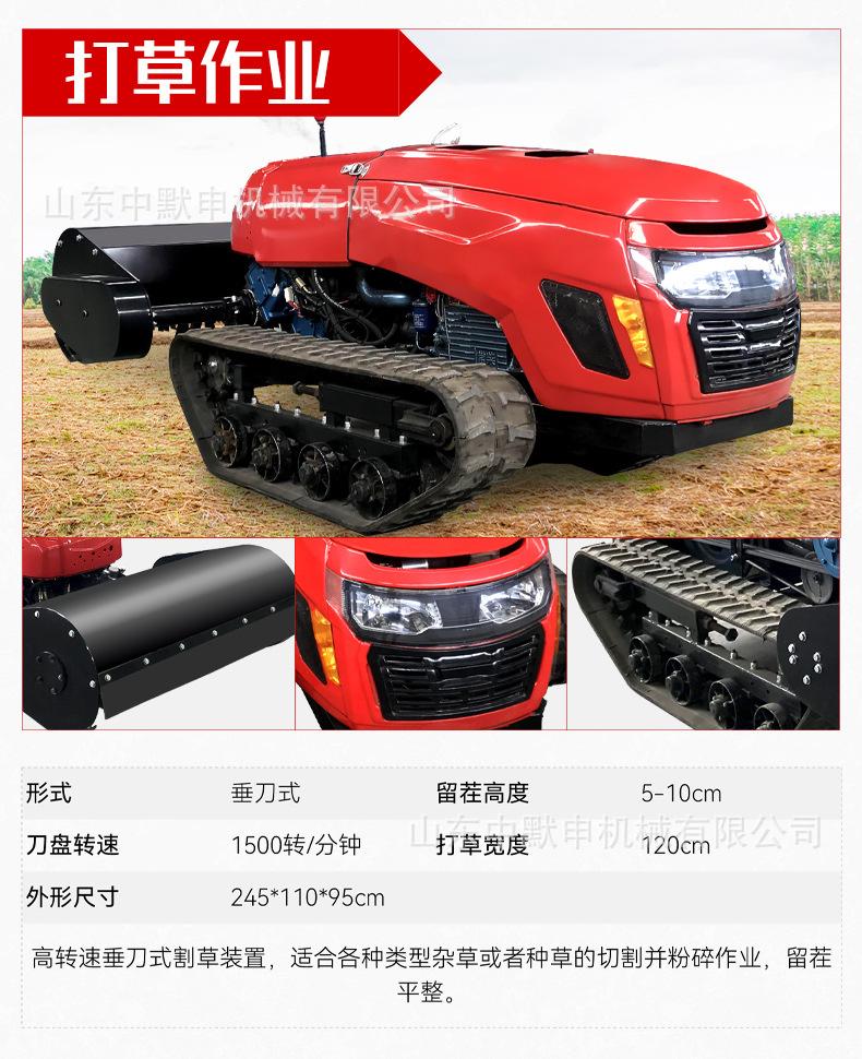 中文详情_13
