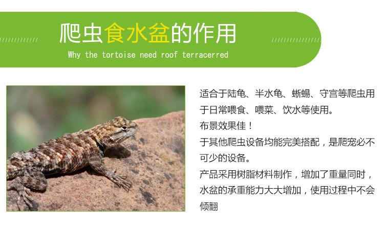 爬宠食用水盆的作用