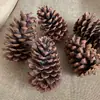 Envío Gratis 30 Piñas Flores Secas Decorativas Hecho a Mano Paquete de Materiales Creativos DIY Decoración del Hogar Ramas Secas Piñas Escama de Pez