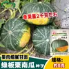 Sementes de Abóbora Castanha Prateada Verde Tsuen, Sabor de Castanha, Macarrão Doce, Melões Deliciosos, Vegetais da Horta da Fazenda