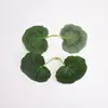 Begonia Simulada Hoja Planta de Vid Falsa Zarcillo Planta Verde Decoración Accesorios Paisaje en Maceta Hojas Falsas Accesorios