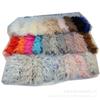 Tela de Terciopelo Spot Lion Terciopelo Peacock Largo y Corto Pv Ropa de Terciopelo Nido para Mascotas Almohada Juguete Tela de Felpa