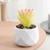 Set de Suculentas Simuladas Plantas Verdes Pequeños Bonsáis Flores Artificiales Transfronterizas Decoración del Hogar Adornos de Escritorio Plantas de Plástico Flores Artificiales