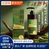 Folha de Platycladus Personalizada Ganoderma Negro Ervas Tonalizante Capilar Líquido para Cabelos Negros Óleo de Gengibre para Crescimento Capilar Controle de Oleosidade Fofo Fabricante Oem