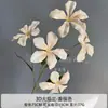 Flores Artificiales Color Champán para Bodas al Aire Libre, Decoraciones de Fondo de Boda, Adornos para Sala de Estar en Casa, de Alta Gama y Realistas