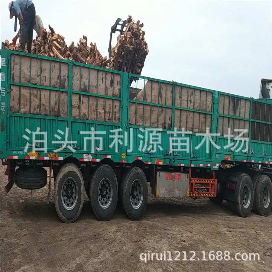 烤鸭烤肉枣木柴