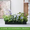 Hc-Cd3 Arreglo de Macetero de Flores de Planta Verde Simulada Combinación de Partición de Plantas Decoración de Paisajismo con Flores Artificiales Flores Falsas