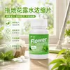 Concentrado de solución para limpieza de pisos, limpiador de azulejos, tabletas efervescentes antibacterianas, eliminadoras de olores y repelentes de mosquitos, fragancia para limpieza de pisos