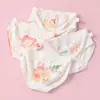 Outono e Inverno Nova Roupa Íntima para Meninas Triângulo Desenho Animado Classe A Algodão para Bebê Roupa Íntima de Cintura Média para Meninas Roupa Íntima Infantil