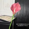 Flor Grande de Lírio Calla Artificial, Flor Falsa de Alta Qualidade para Adereços de Casamento, Decoração de Sala de Estar, Lírio Calla Impresso em 3D