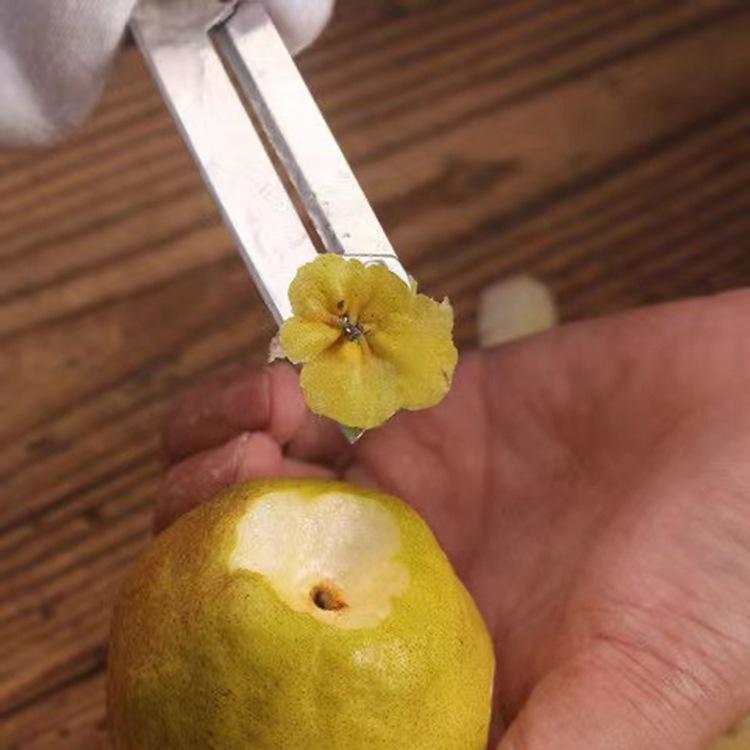 微信图片_202107261241304