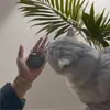 Llavero de cuero para guardar pelo de mascota, colgante de pata de perro, adorno de almacenamiento de pelo de mascota de gato y perro