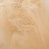 Série Arco-Íris Tecido de Malha Ins Névoa de Fada Gaze Transparente Gaze Macia Tecido para Roupa Tecido para Saia de Gaze Tecido para Fundo de Casamento