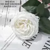 Austin Hidratante Rosa Manualidades Flores Artificiales Fabricante Flores Falsas Plantas Verdes Venta al por Mayor Decoración de Bodas Transfronterizo