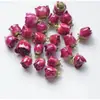 Pegamento Real Flor Rosa Accesorios Flor Seca Pegamento Flor Colgante Pendientes Collar Pulsera DIY Accesorios