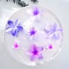 Nuevos Accesorios para el Cabello Coloridos Pinza para el Cabello de Acrílico para Mujer Elegante Forma de Flor Lateral Huevo de Tiburón Flor de Gama Alta