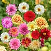 180 Variedades de Sementes de Flores Não Repetitivas, Fáceis de Cultivar em Todas as Estações, Podem Afastar Mosquitos, Adequadas para Varandas Internas e Externas, Distribuição Transfronteiriça