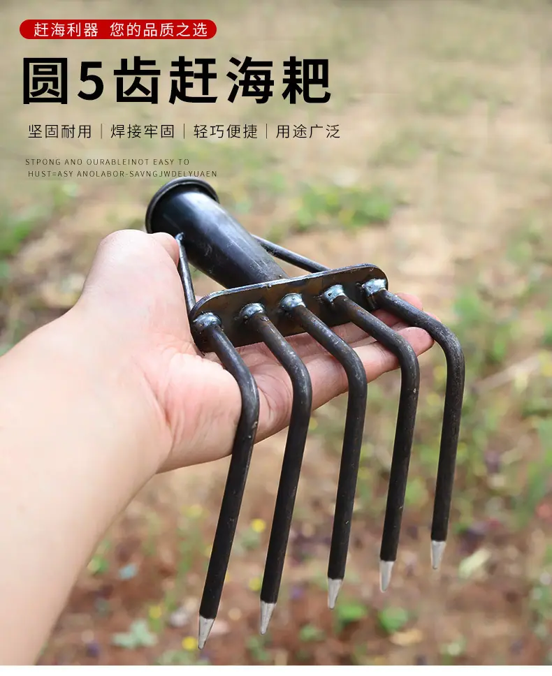 详情_01.jpg