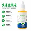 Líquido de Enraizamiento Rápido Solución Nutritiva para Plantas Fertilizante Concentrado Soluble en Agua Promueve el Crecimiento de Raíces y el Fortalecimiento de Plántulas Alta Tasa de Supervivencia para Esquejes y Trasplantes Flores