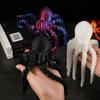 Pulpo Calamar Articulado Impreso en 3D Pulpo Realista Juguete para Niños Modelo Animal Figura Adorno