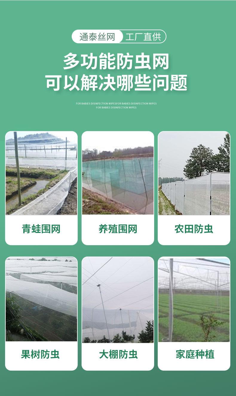 通泰丝网_04.jpg