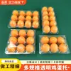 Procesamiento y Personalización de 30 Charolas de Plástico para Huevos, Caja de Empaque para Huevos Desechables, Huevos de Pato y Huevos de Codorniz, Satchel y Separada
