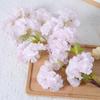 Flor de cerezo artificial, rama al por mayor, árbol de durazno falso, decoración de interiores, decoración de sala de estar, flor de ciruelo, flor de cerezo, techo de boda, flor seca