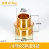Conector de Tubo de Entrada de Agua Roscado de Latón de 4 Puntos Doble Rosca Externa Conexión Directa a 6 Puntos Rosca Corta de 1 Pulgada Accesorios