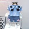 Novo verão meninas três dimensões flor babado lapela manga curta jeans pele shorts duas peças fábrica atacado