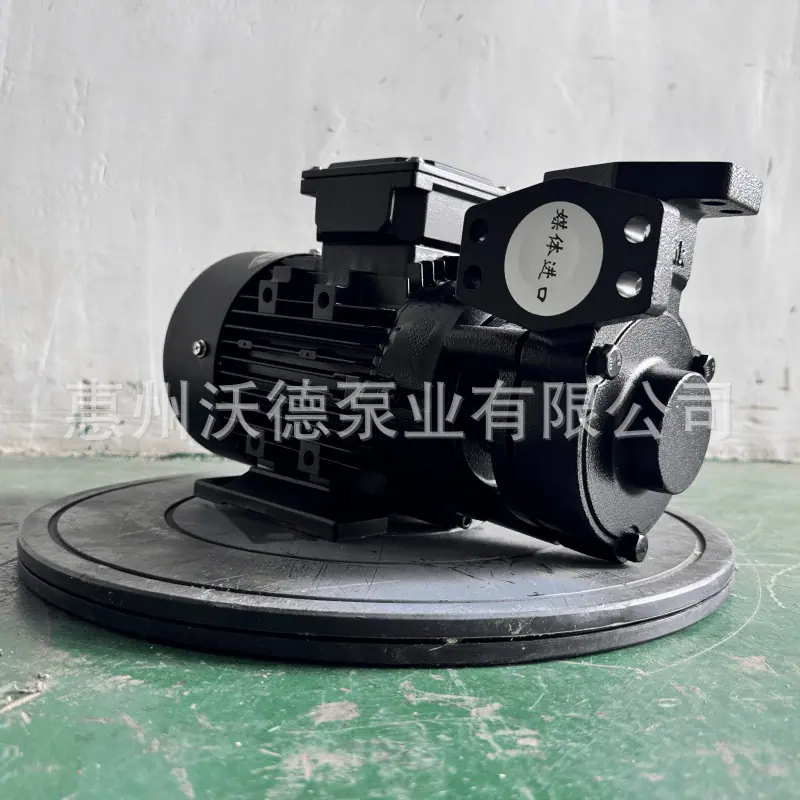 WM-20高温泵7