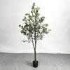 Simulación de bonsái de árbol de dinero, simulación directa de fábrica de eucalipto, decoración de interiores, plantas falsas, plantas en macetas.