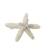 Pinza de Pelo de Estrella de Mar Perlada Estilo Coreano Pinza de Resorte Accesorios para el Cabello Pinza Superior Femenina Estilo Coreano Trampa para el Cabello de Alta Calidad Elegante Accesorios para el Peinado