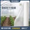 Película plástica para invernadero de gran luz para flores agrícolas, arándanos, verduras, materiales medicinales chinos comunes, película de siembra, película para cobertizo de invernadero transparente