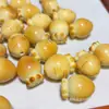Nuevo Accessory DIY de Zanahoria a la Parrilla de Carbón de Nuez Marfil para Manualidades, Cuentas Espaciadoras para Pulseras, Colgante de Cuerda Trenzada, Accesorio Creativo