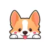Funda de Brazo Simple de Verano para Perro Corgi Pegatina de Tatuaje Nicho Linda Mascota Corgi Pegatina de Tatuaje Impermeable de Larga Duración para Mujeres