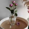 Mini vaso estilo Ins de pequeno diâmetro, transparente, para flores frescas cultivadas em água, plantas verdes e arranjos de flores secas.