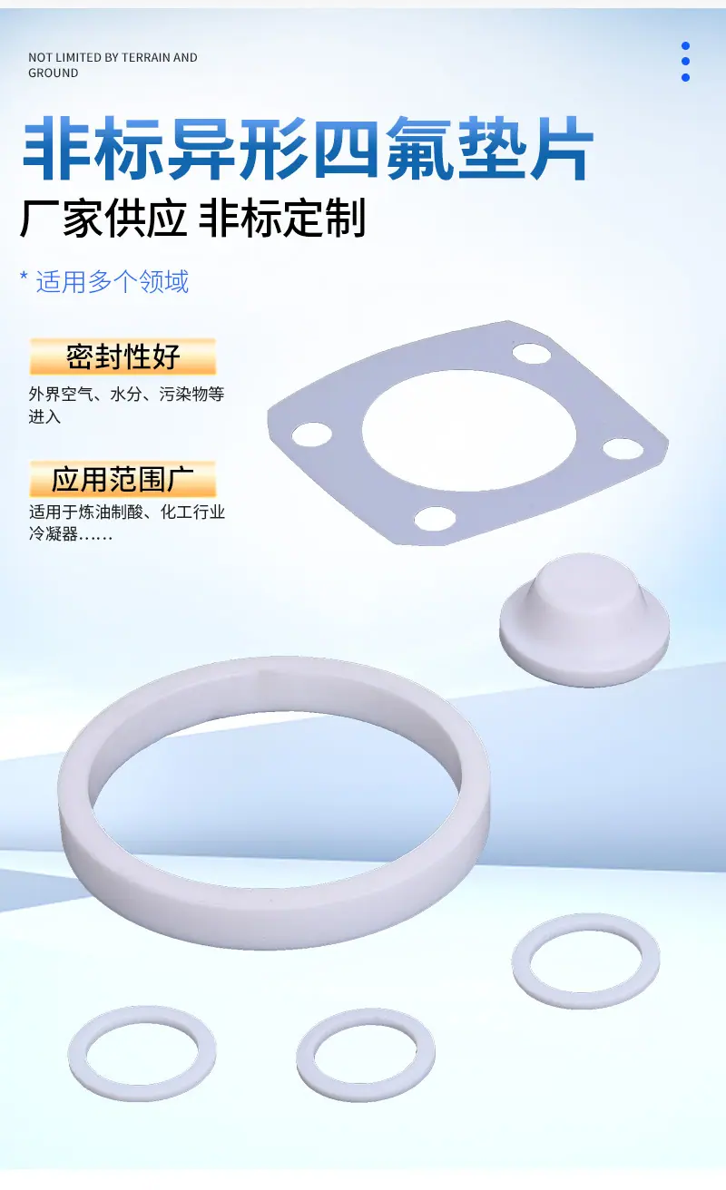 12-非标异形四氟垫片_03.jpg