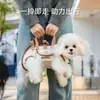 Transportín para Gato y Perro Transportín Portátil para Perro en Viaje Transportín Transpirable para Gatito Transportín con Superficie Suave Fabricante al por Mayor