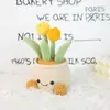 Planta Suculenta Tulipán de Venta Caliente Transfronteriza Maceta Pequeños Adornos para Escritorio de Oficina Regalos de Tejido de Lana para Maestros y Mejores Amigos