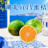 Tangerinas Mel de Hubei Yichang, dropshipping disponível, 3/5 libras, 65-70mm, caixa inteira, fruta fresca, produto agrícola comestível
