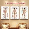 Gráfico de Pontos de Acupuntura dos Meridianos Humanos Grande Cartaz de Parede Padrão de Pé Alta Definição Medicina Chinesa Moxabustão Massagem Massagem Acupuntura Cartaz em Placa KT