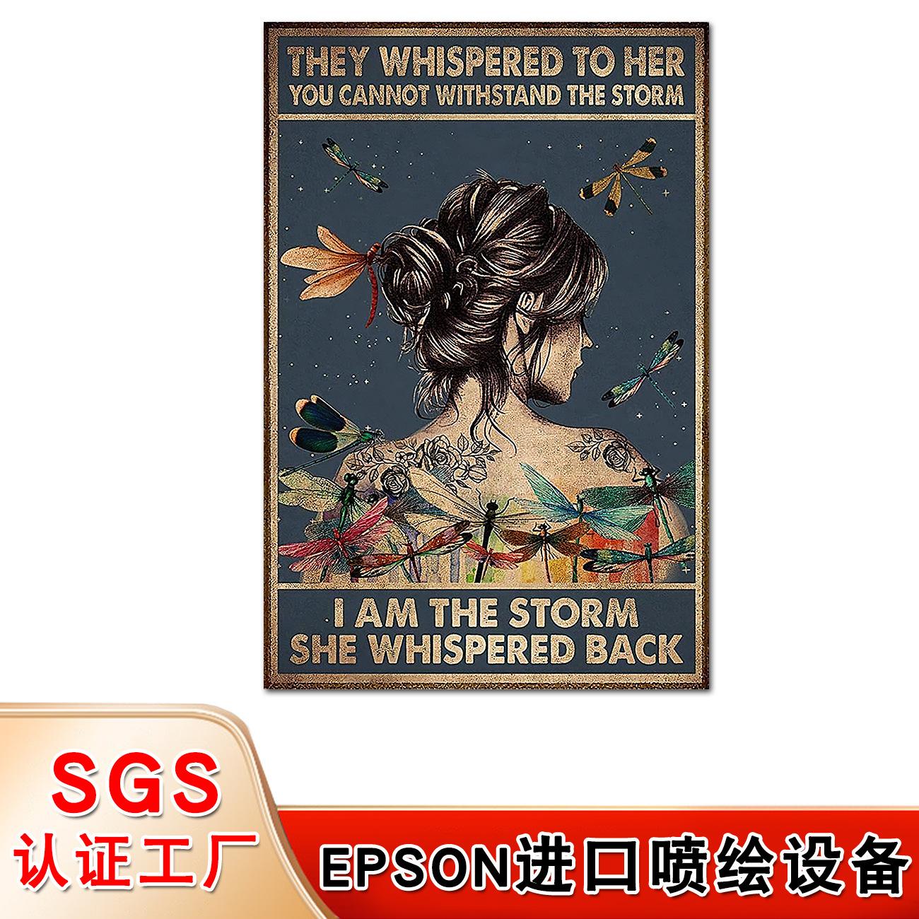我是风暴 (1).jpg