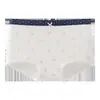 Novas Calcinhas de Algodão Puro Sem Costura para Mulheres, Antibacterianas, Comprimento Estendido, Alargadas, Forro de Algodão Puro Antibacteriano Feminino, Boxer Feminino, Atacado