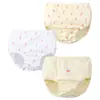 Roupa Íntima Infantil Calça de Pão Triângulo Roupa Íntima de Bebê para Meninas Roupa Íntima de Bebê 0-3-5-8 Anos Roupa Íntima Infantil Três Peças