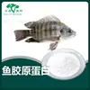 Colágeno de Peixe, Peptídeo de Colágeno de Extrato de Escama de Peixe, Peptídeo de Molécula Pequena, Oligopeptídeo Solúvel em Água, Em Estoque