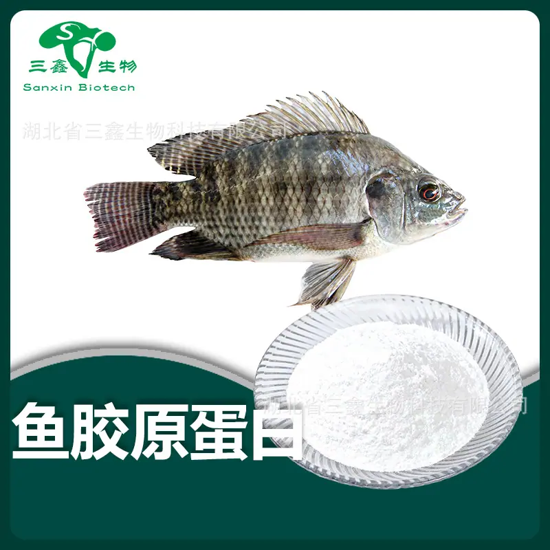 鱼胶原蛋白