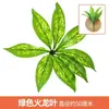 Paredes de Plantas Simuladas, Céspedes Artificiales, Decoraciones de Paredes Verdes con Plantas, Paredes de Fondo, Flores Artificiales, Césped Verde de Plástico Artificial al por Mayor