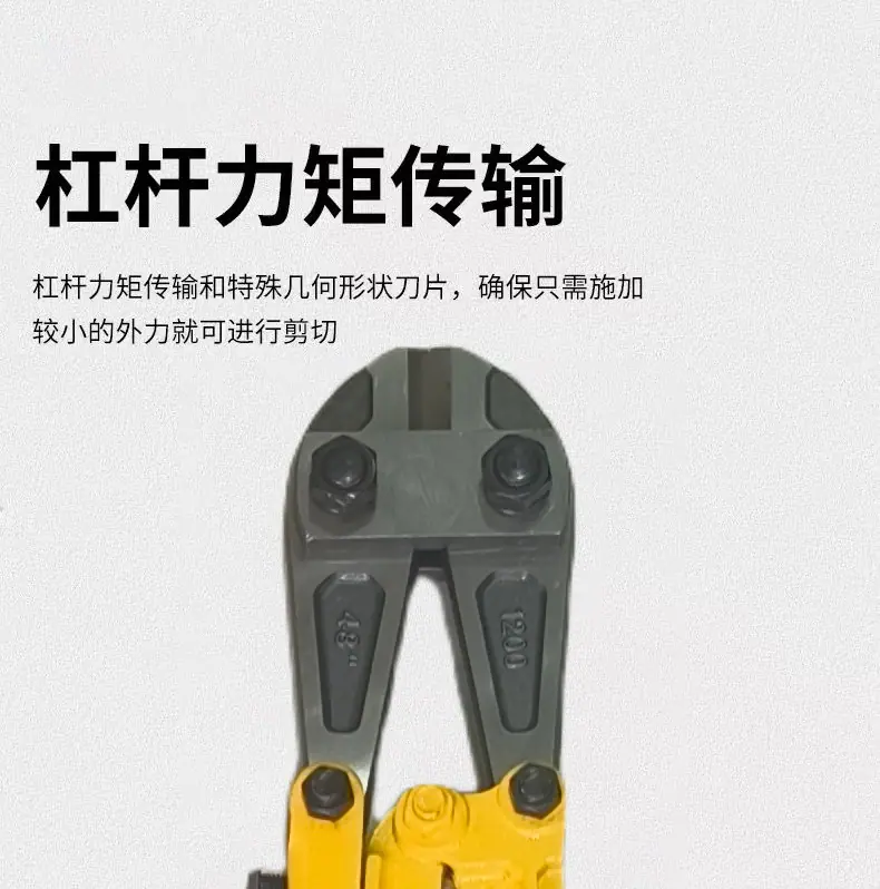 微信图片_20250328111650.jpg