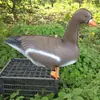 Suministro directo de fábrica cebo de caza para exteriores pavo canadiense ganso IXPE decoración de cebo de caza plástico personalizable